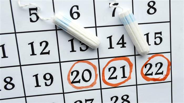 Menstrual Cleansing Ritual Ideology